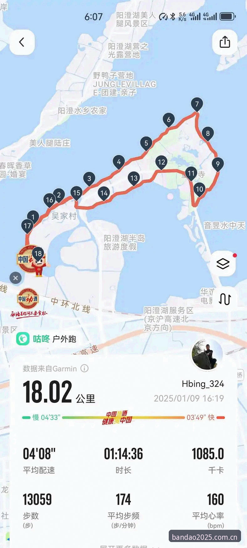 半岛平台官网全面解析：2025最新版下载与体育app安装的深度分析